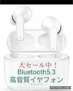 Item thumbnail for item df3a0440-600c-4b52-98aa-9ef8974c494a