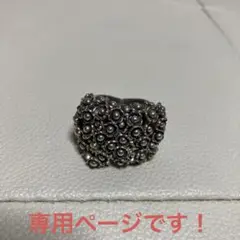 カレンシルバー　3点　専用