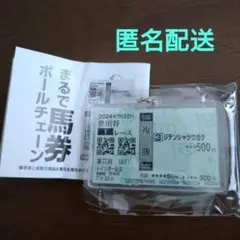 まるで馬券ボールチェーン　複勝