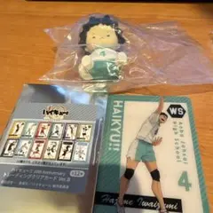 ハイキュー‼︎トレーディングカード ちゃびちゃび 岩泉一