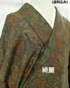S70ー134番 着物 小紋 袷 綺麗 お買い得品