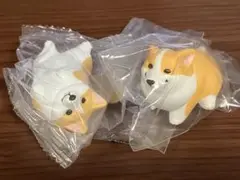 こぎさんぽ2種セット　棒を埋めて満足げなコーギー& 抱っこアピールをするコーギー