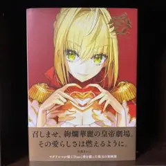 愛 -ワダアルコ Fate ART WORKS-