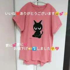 黒猫ちゃん❣️が～可愛い(*≧з≦)❣️Tシャツです❣️