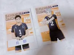 ハイキュー アニメイト 特典 ポストカード 澤村大地 菅原孝支