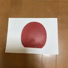 バタフライ　ディグニクス05赤特厚2.1ミリ1枚