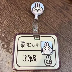 ☆新品未使用☆ちいかわ うさぎ パスケース カードケース