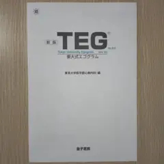 TEG　東大式エゴグラム　性格検査（検査用紙）就職試験や採用面接に