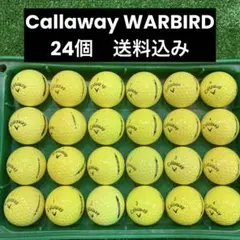 Callaway WARBIRD ロストボール　24個