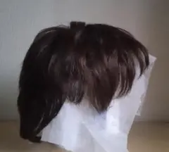 Item thumbnail for item 5009b8e8-07cf-4d57-9f0a-69842d88838c