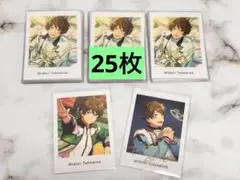 あんさんぶるスターズ 流星隊 高峯翠 ぱしゃっつ