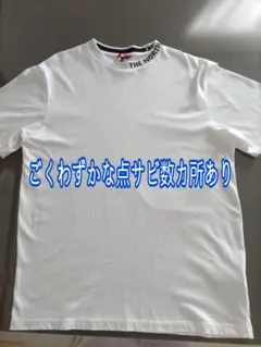 【５〜６回着用】ザ ノース フェイス Tシャツ わずかな点サビ数カ所あり