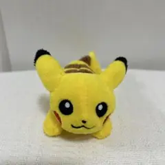 ちっちゃいかたのりピカチュウ　ぬいぐるみ　ピカチュウ　ポケモン