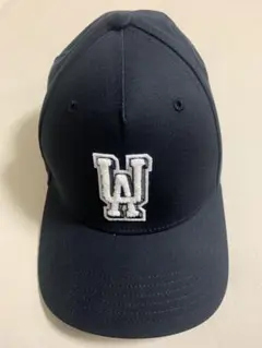 Item thumbnail for item 75b6649b-857b-4687-b4c9-e39e3832a6e8