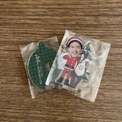 郷ひろみアクスタ　サンタver