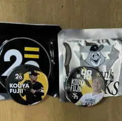 Item thumbnail for item 5ddc4bf0-2f3b-4436-bd69-bd08d9e631fa