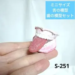 （S-251）ミニサイズの舌と歯の模型