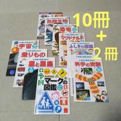 Item thumbnail for item 883a34bc-a3d1-4f2e-87f6-2eebef141d2c