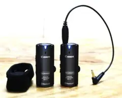 Item thumbnail for item ca3d75c2-ab4d-47a5-a7f7-455d9786b5d1