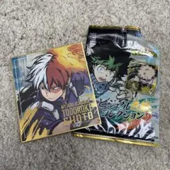 ヒロアカ　ビジュアル色紙コレクション　轟焦凍