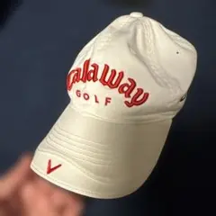 Item thumbnail for item 5ea5694c-6ebd-4f53-9e28-7ff44848f49b