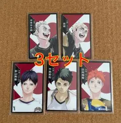 ハイキュー ボドゲ 援 特典セット