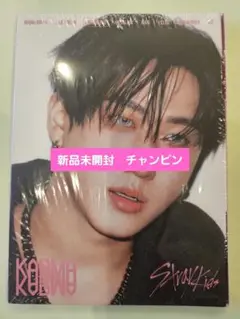 Stray Kids 新品未開封　チャンビン　Karma