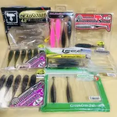 Item thumbnail for item 0aa88c3d-081a-4365-9e6f-943870a3ad78