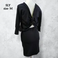 Item thumbnail for item 3b282087-51f1-47e4-839c-c399aa0e50c0