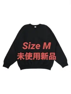 Item thumbnail for item 7e5a4565-8525-40db-8c57-9decb99efe62
