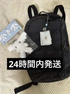COYSEIO BACKPACK PURPLE GREY リュックセット