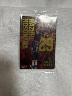 Item thumbnail for item e739b440-f84e-41cc-8384-268c9a73baad