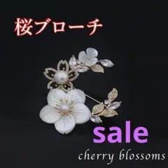 Item thumbnail for item dff5d1e8-7116-4fbc-b03d-1b0be1709b8c