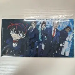 名探偵コナン　チケットホルダー　チケットファイル　ミニファイル
