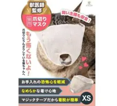 Item thumbnail for item 6c365d7c-439d-4086-9c79-4ef1bd473570
