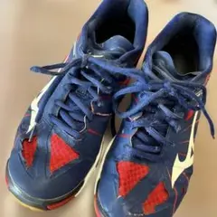 Item thumbnail for item e5a6b863-c838-4506-bc23-dbe2c88e08b0