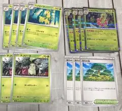 チコリータ　ベイリーフ　メガニウム　進化ラインセット 活力の森