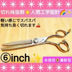 Item thumbnail for item 69f22291-fcf4-4179-b6ca-447da5e38744