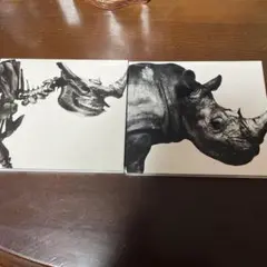 Mr.Children ベスト２枚1992-1995 1996-2000