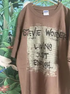 00s STEVIE WONDER/M/旧GILDANタグ希少/R&B FUNK