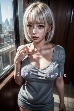 No.2740 AI ポスター 美女 グラビア A4サイズ 光沢紙