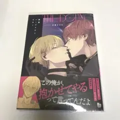商業BL 溺愛パーフェクトスター