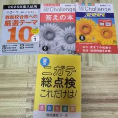 進研ゼミ　中学講座　3年になるまえと3年夏