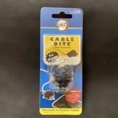 上映中！鬼滅の刃　冨岡 義勇 iPhoneライトニングケーブルアクセサリー