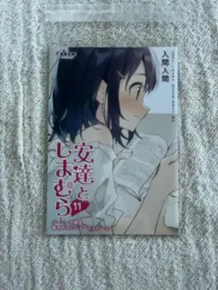 安達としまむら ゲーマーズ 11巻購入特典 4pブックレット　小冊子