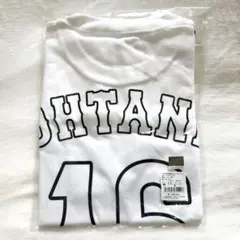 Item thumbnail for item 2c18c4dd-c3b1-4193-a52a-8e404f1a9f7a