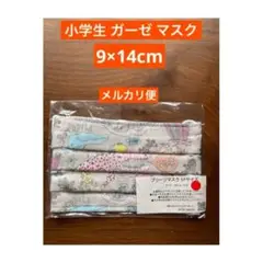 新品 enfa sason プリーツマスク Mサイズ 9cm x 14cm