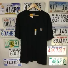 新品未使用 carhartt カーハート Tシャツ サイズL