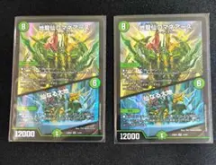 地龍神 ロマネアース 2枚