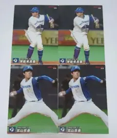 プロ野球チップスカード 日本ハムファイターズ